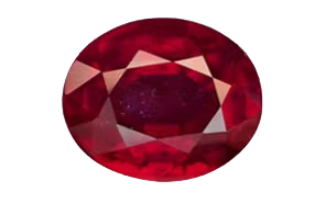 Pigeon Blood